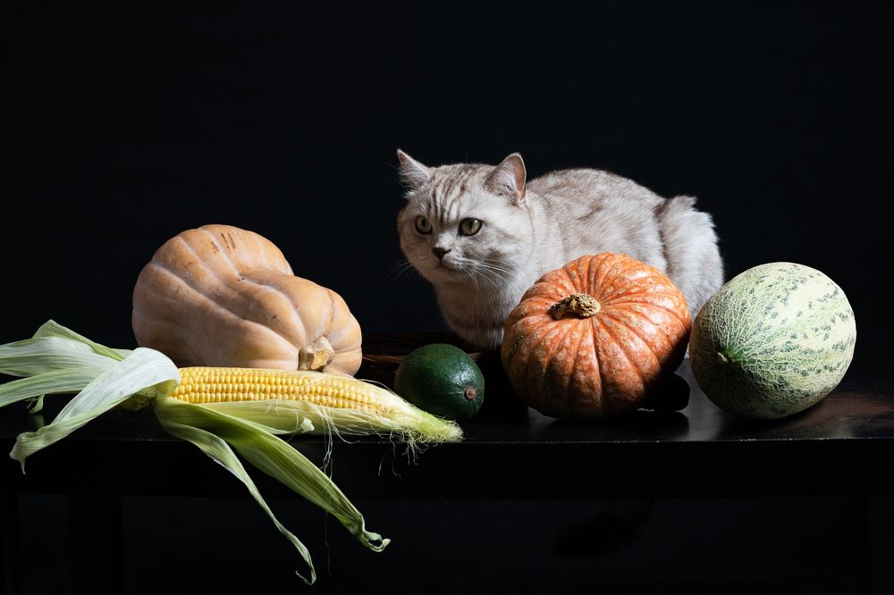 Photograph by Анна Новосельцева