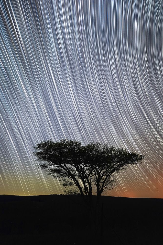 Photograph by Andrew Becker