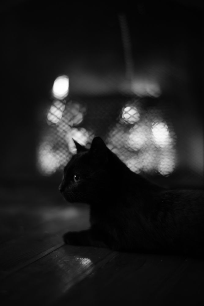 Photograph by Andrew Becker