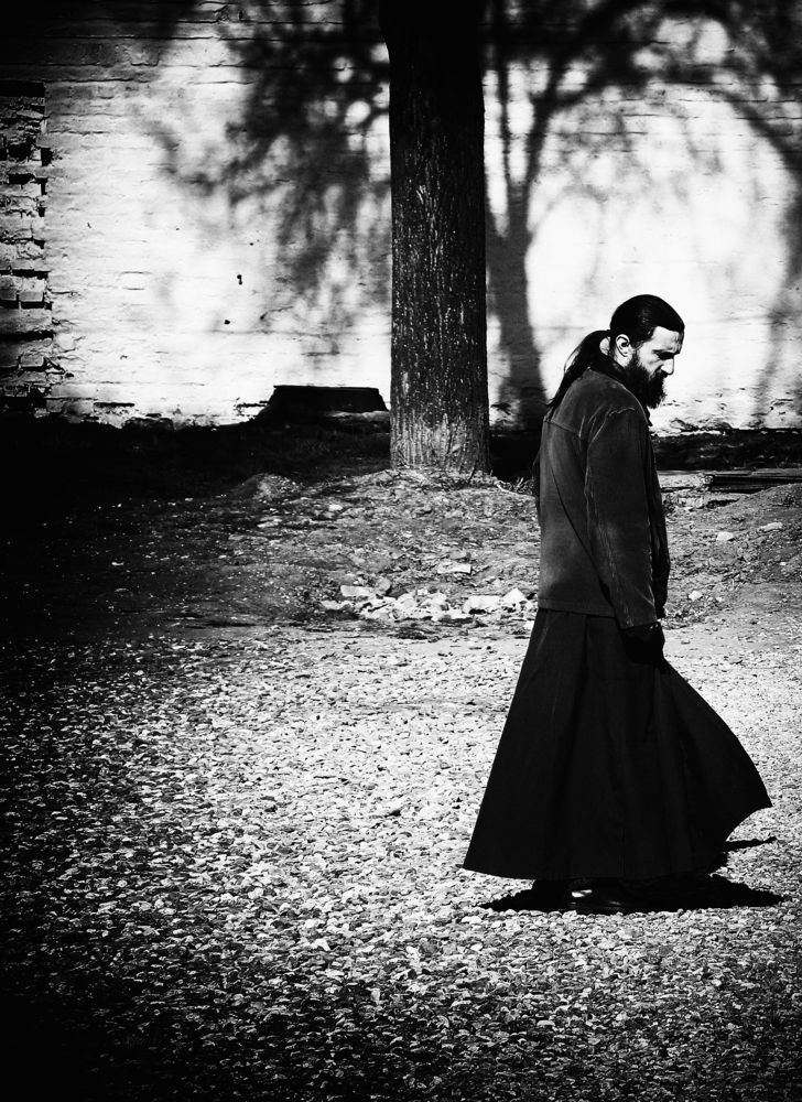 Фотография автора Елена Лаврова