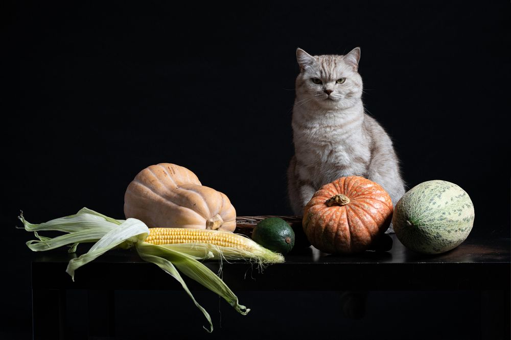 Photograph by Анна Новосельцева