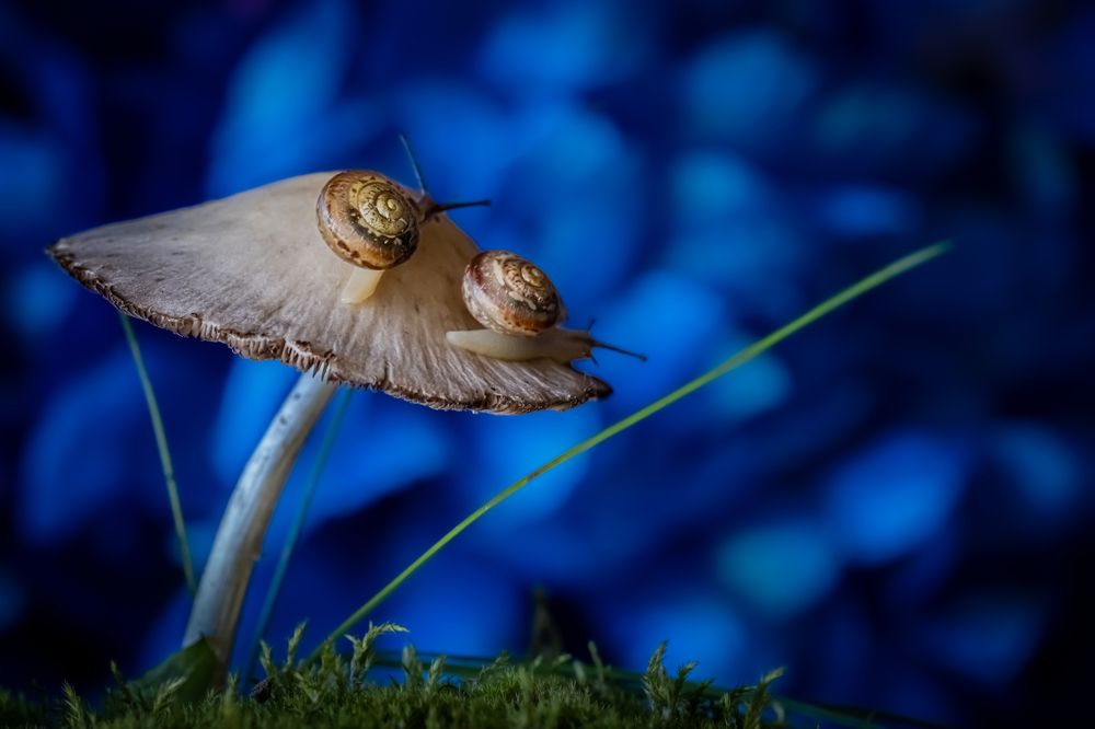 Photograph by Николай Фонарёв