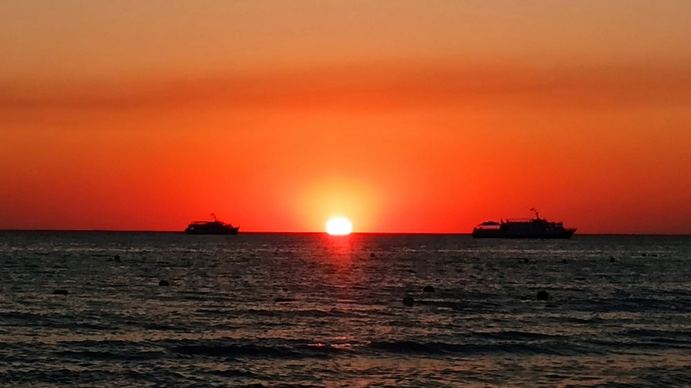 Фотография автора Алёна Подгорная