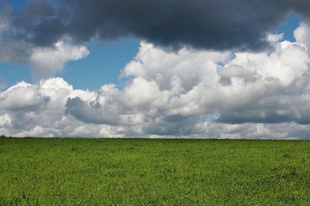 Летний пейзаж