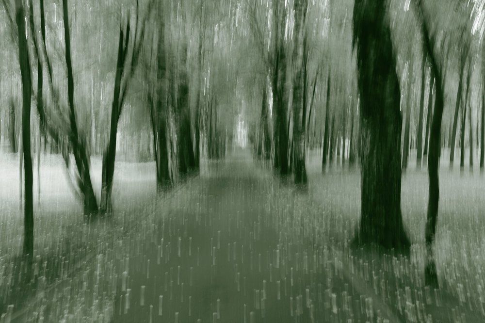 Старый парк