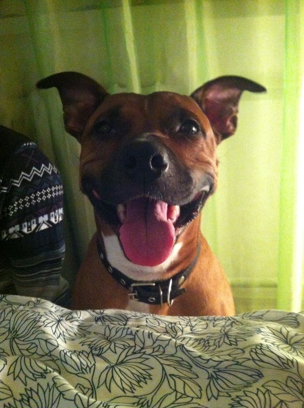 Анастасия, Russia