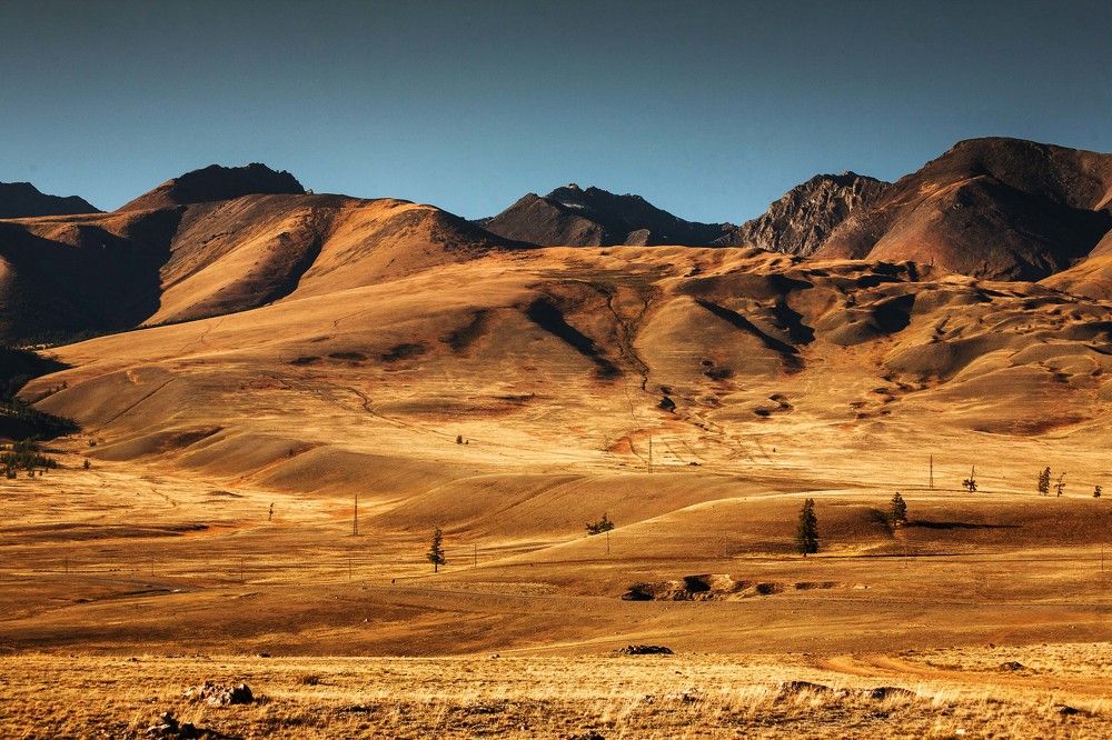 Алтай. Хроники Марса