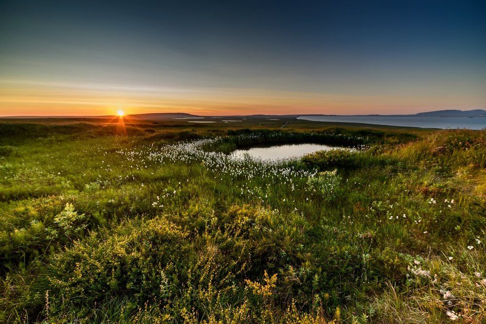 Тундра на закате