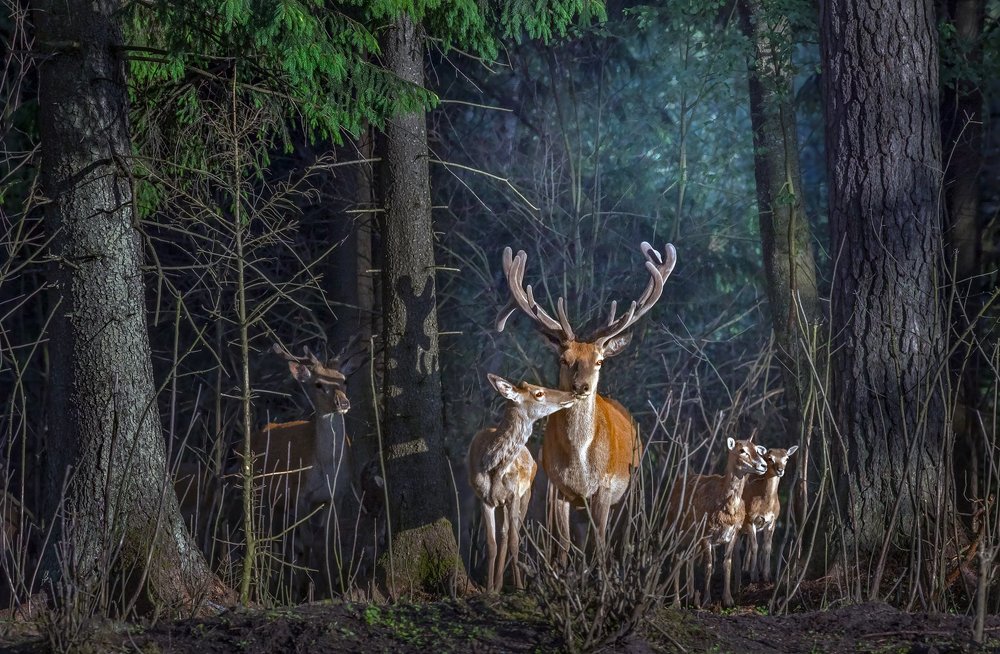 Про завистника