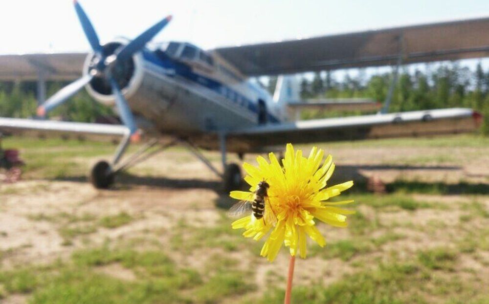 Photograph by Игорь