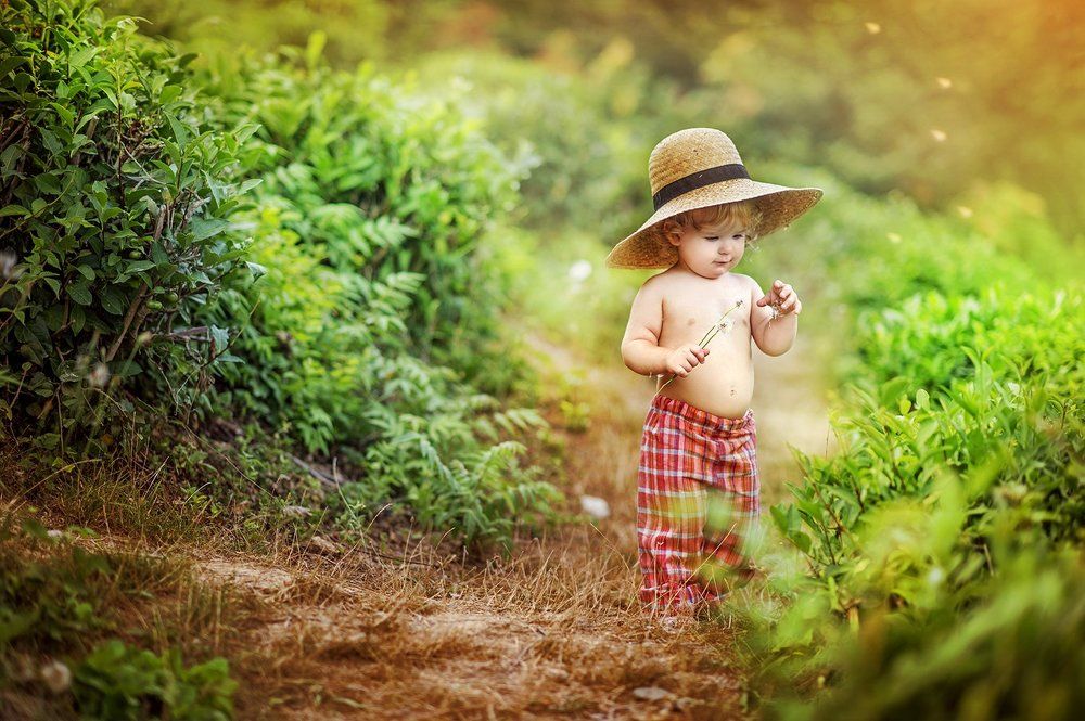 Солнечный день