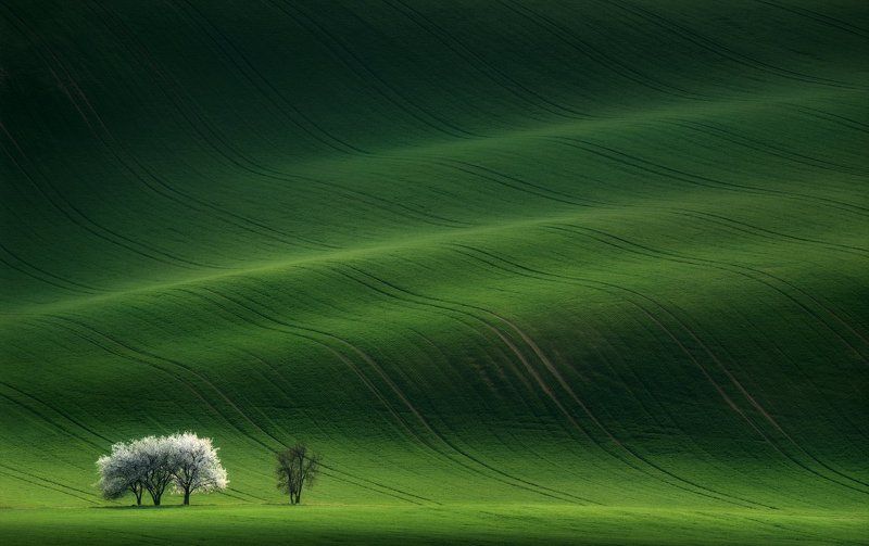Vlad Sokolovsky, Belarus