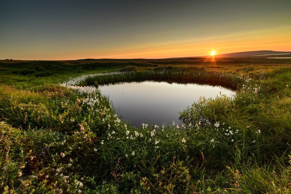 Тундра на закате