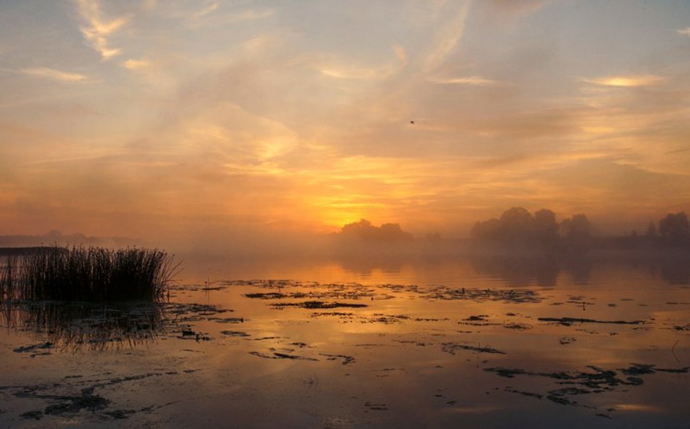 Встречая рассвет.