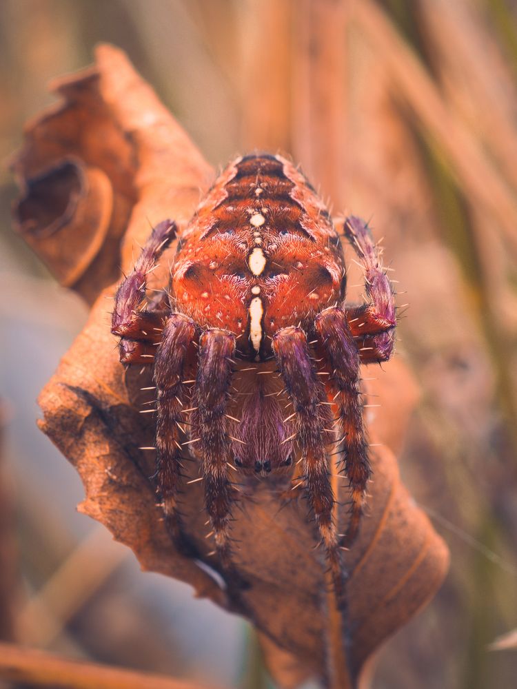 Photograph by Юрий Говорков