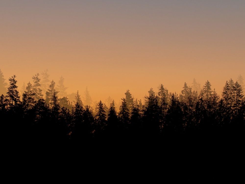 Photograph by Александр Сочнев