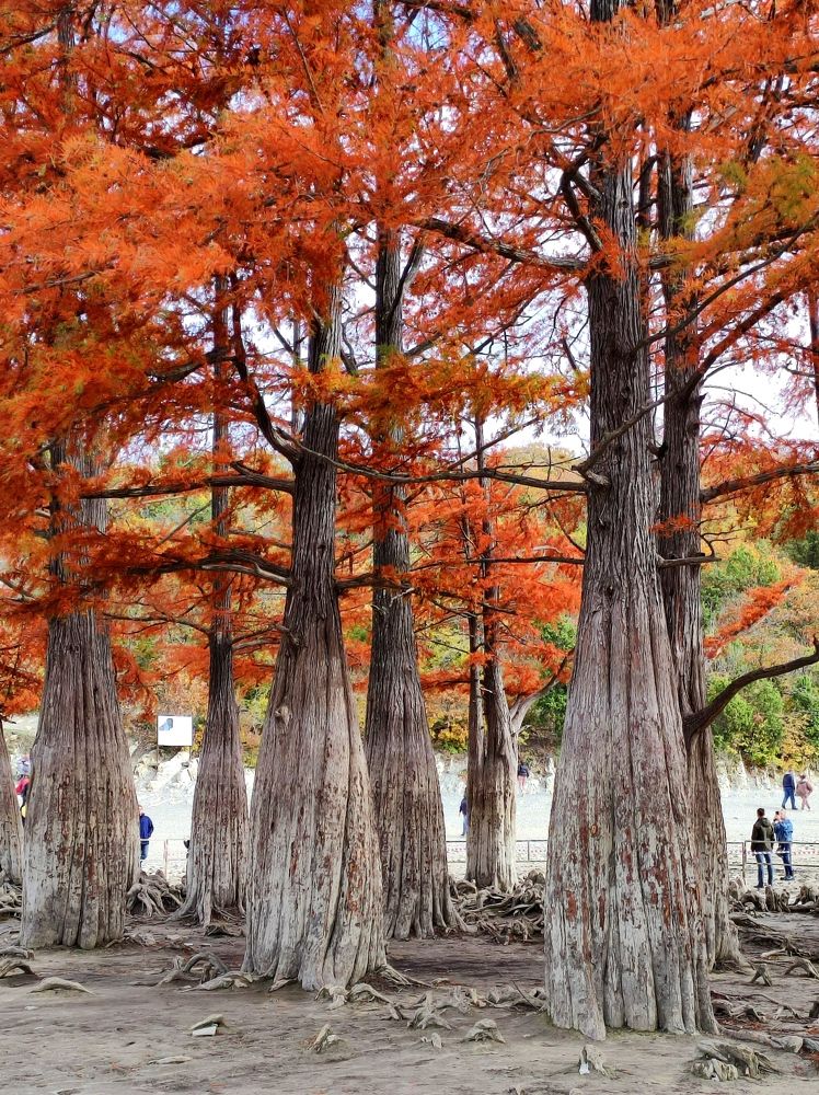 Photograph by Надежда Батракова