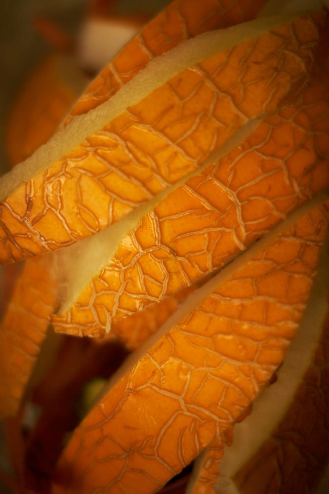 Photograph by Inna Tatarchenko