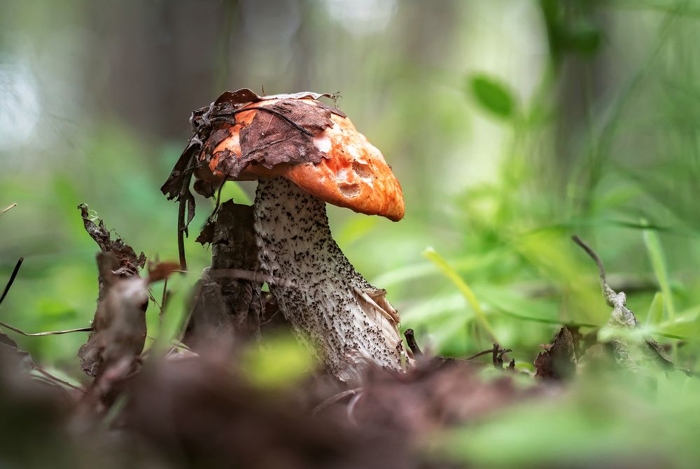 Photograph by Соколова Елена