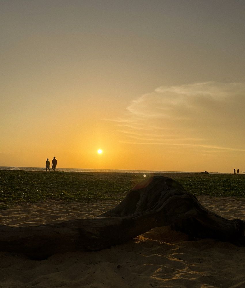 Photograph by Алия Латыйпова