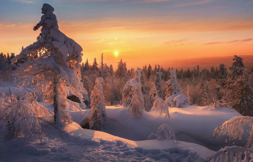 Photograph by Соколова Елена