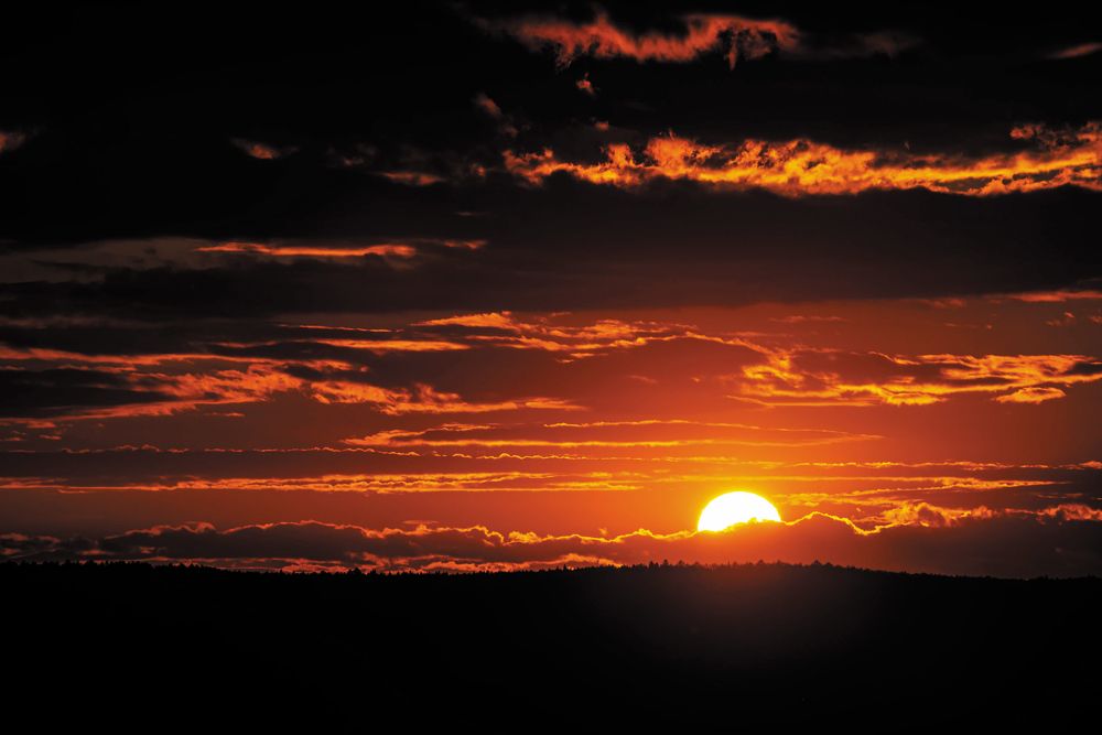 Photograph by Андрей Городецкий