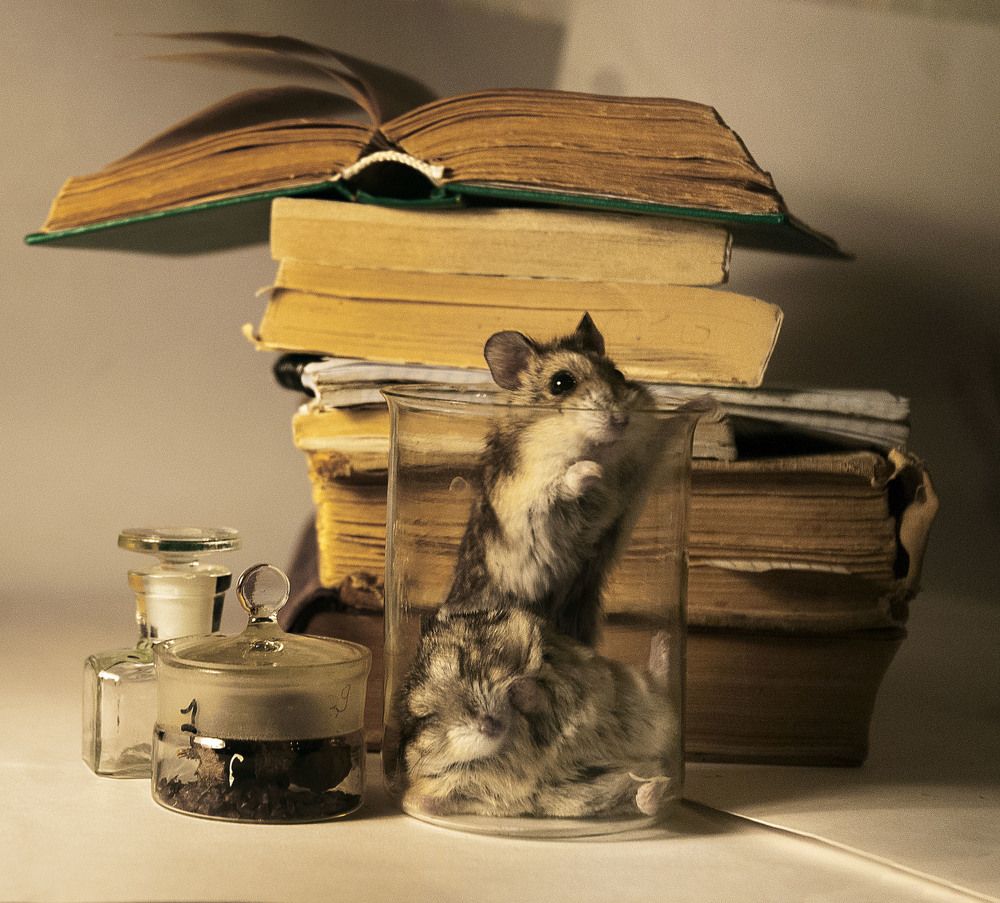 Кажется что-то будет