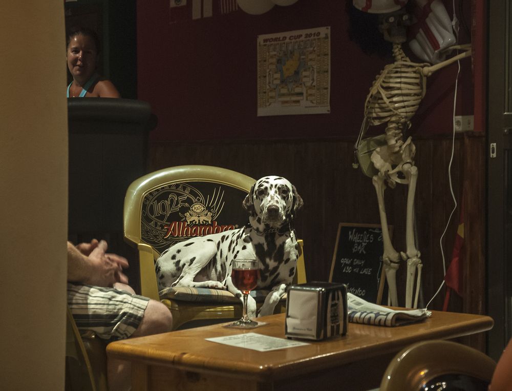 Хорошо сидим!