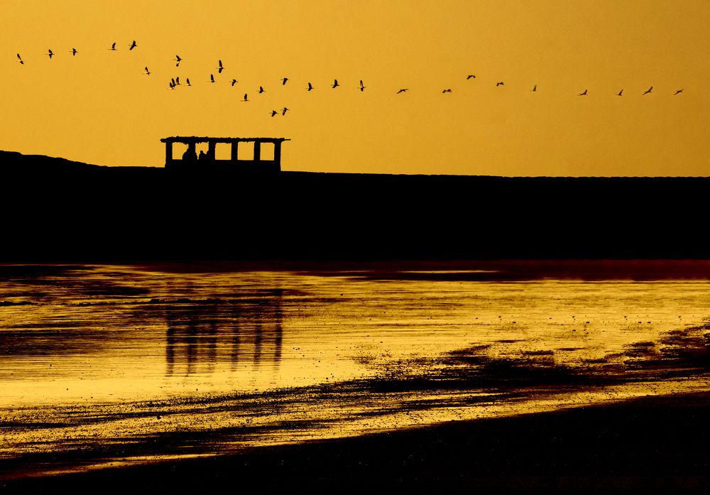 Photograph by Mahmoodreza Noraei