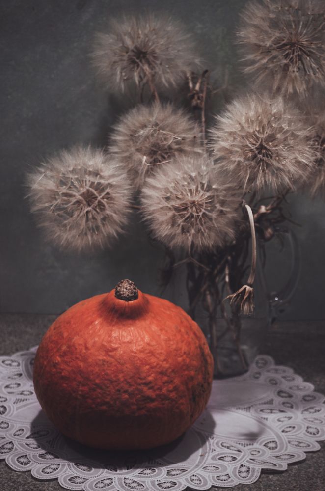 Тыква и одуваны.