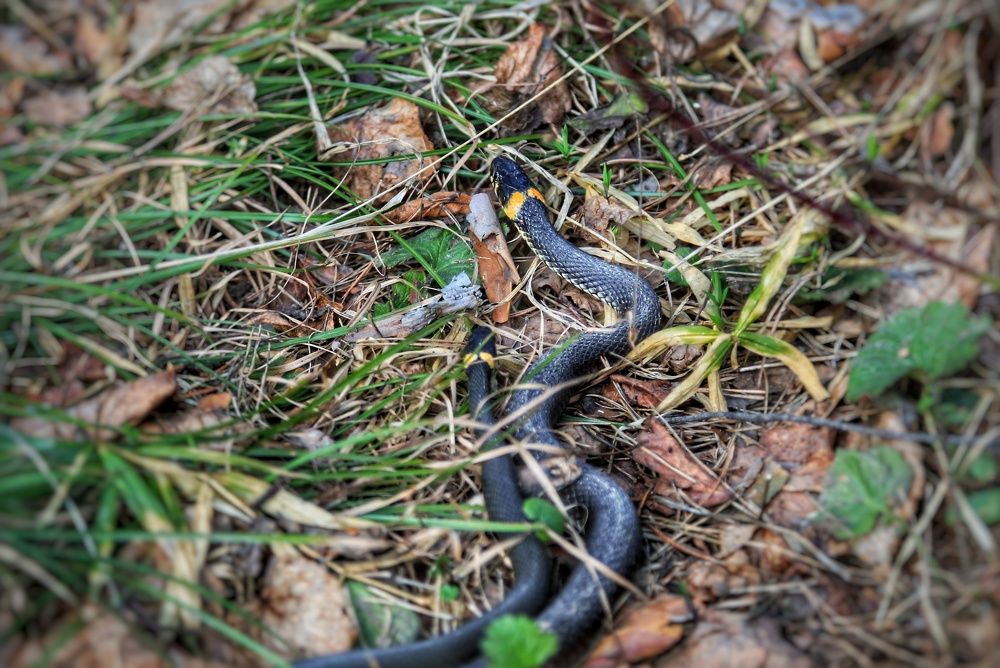 Photograph by Мария Андреева