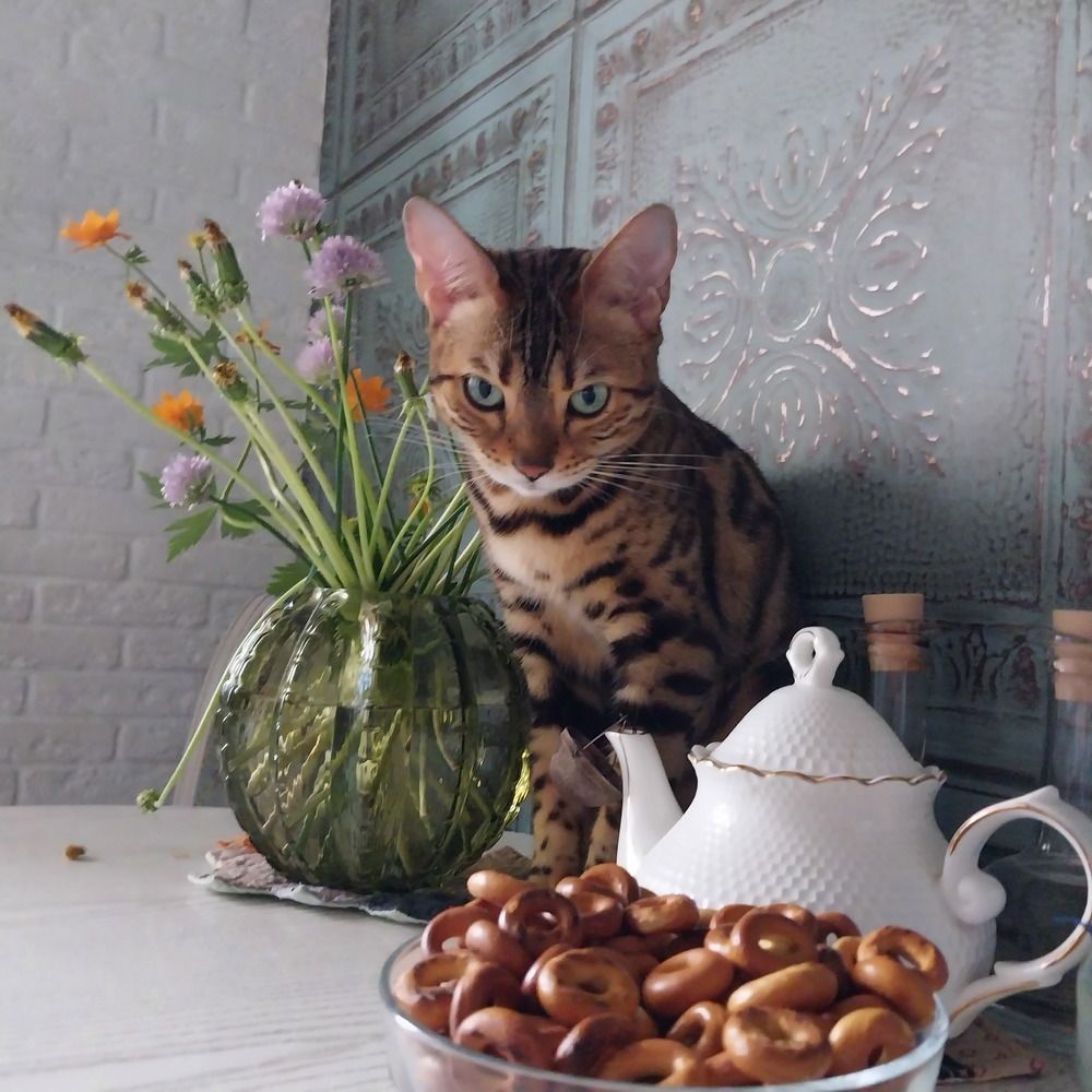 Photograph by Юлия Фирман