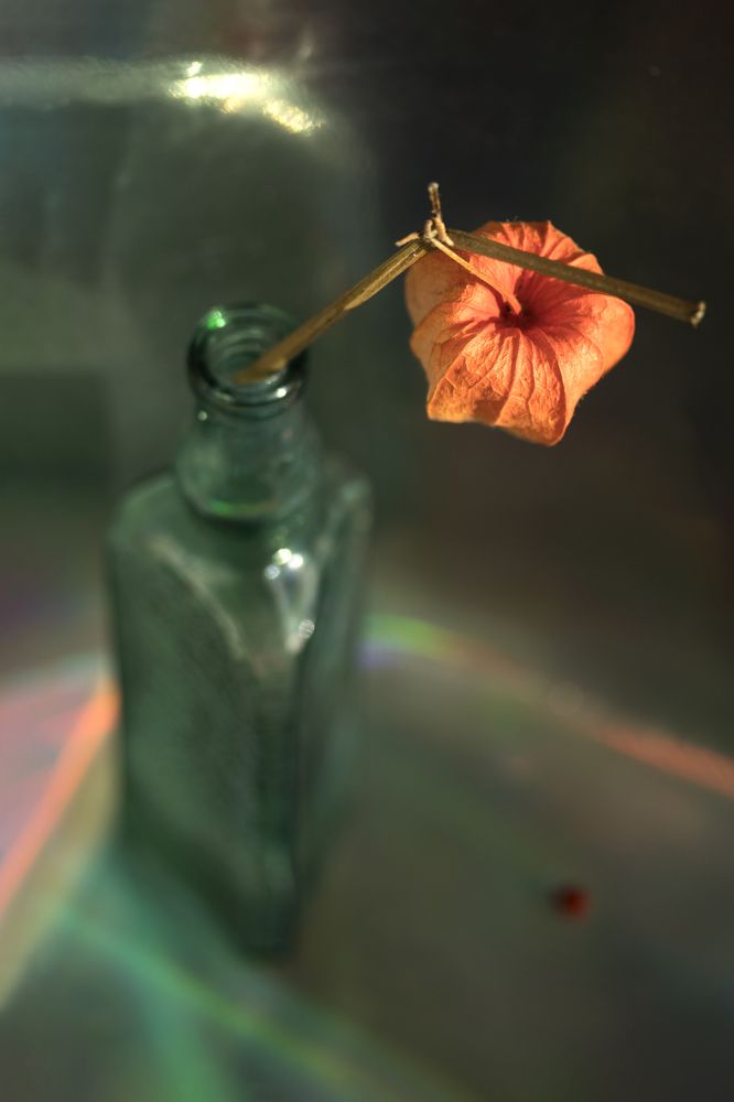 Photograph by Елена Коврижных