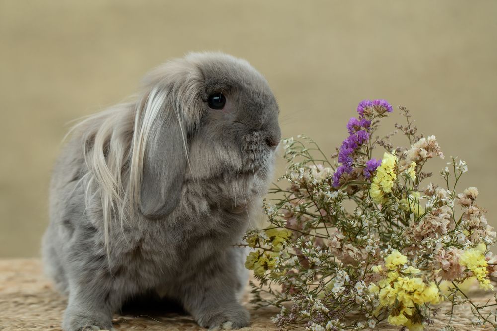 Photograph by Kovaleva Irina