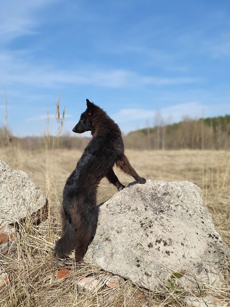 Фотография автора Надежда Лисицына