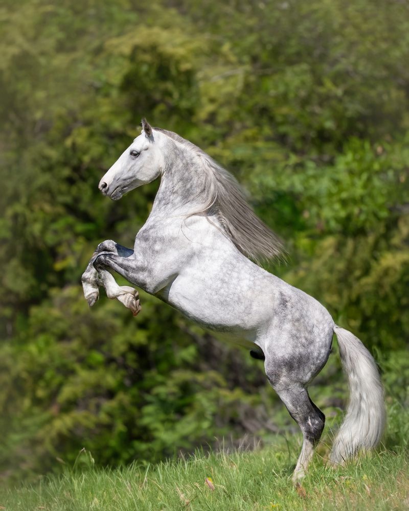 Photograph by Kovaleva Irina