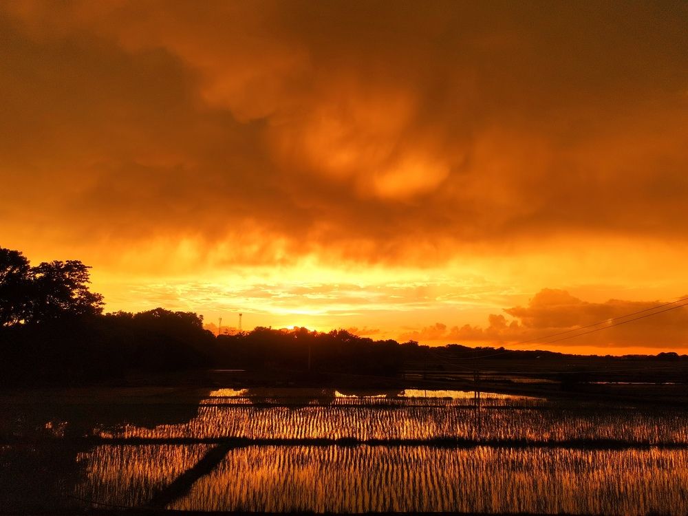 Photograph by Zea Mae N. Maynes