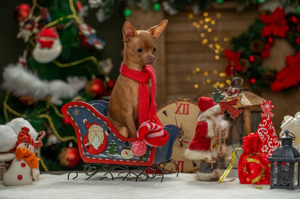 Photograph by Kovaleva Irina