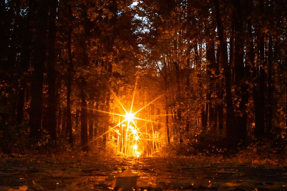 Photograph by Ivan Bazhenov