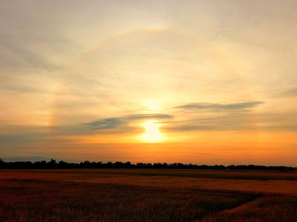 Photograph by Adam Caabay Terrado