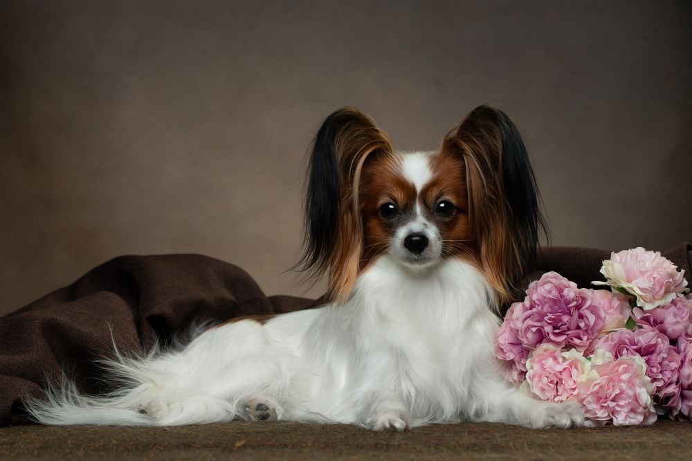 Photograph by Kovaleva Irina