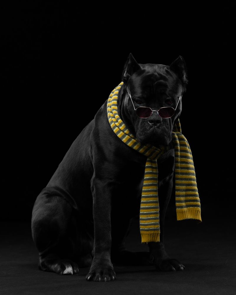 Photograph by Kovaleva Irina