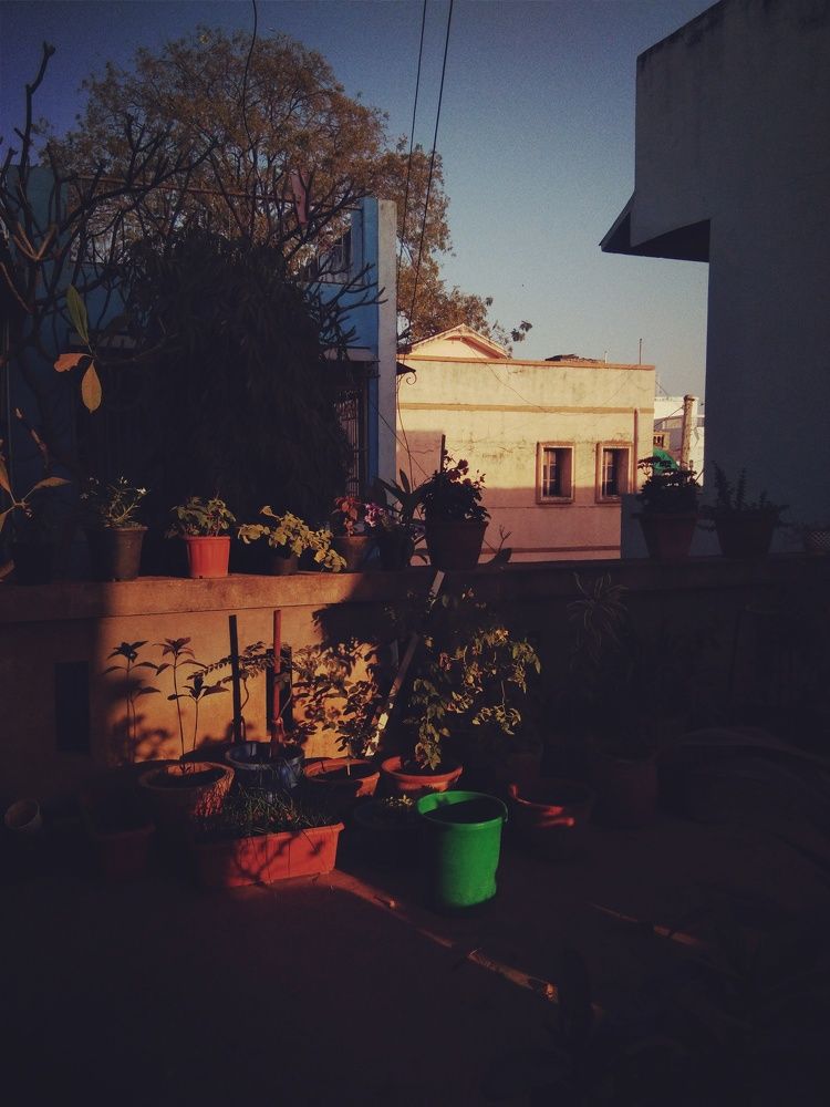 Photograph by Syed Sadiya