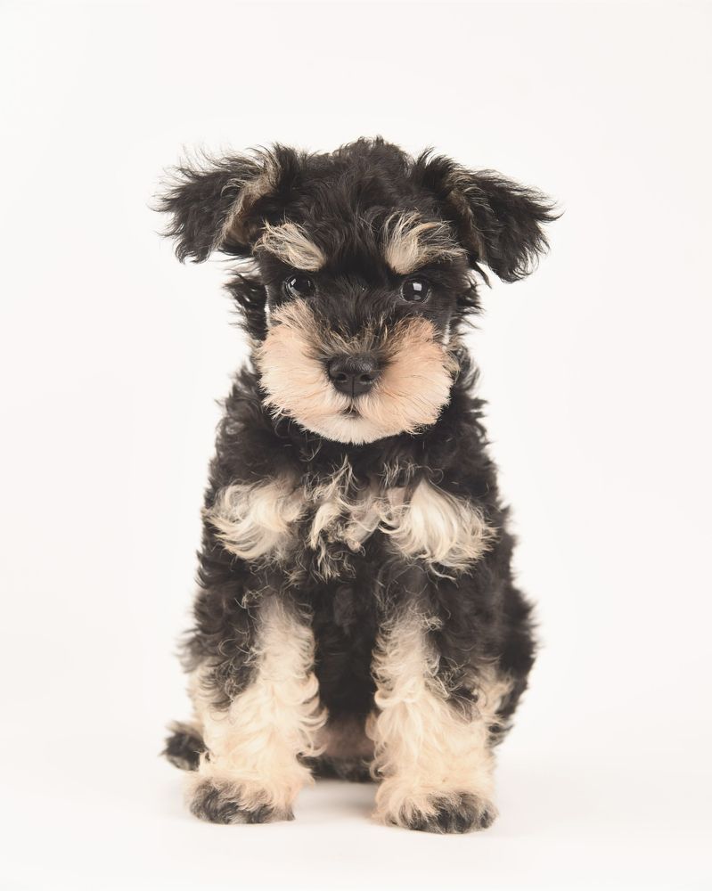 Photograph by Maryna Stepanenko