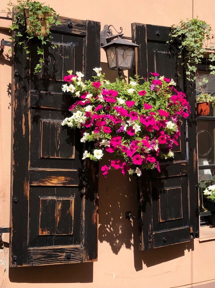 Photograph by Halina Mitsevich