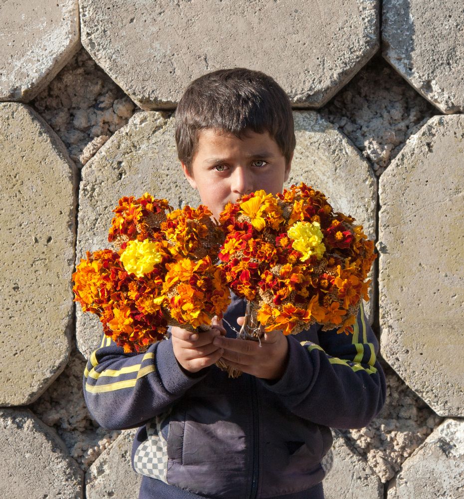 Купите солнце!