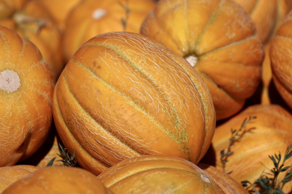 Photograph by Ольга Одаренко