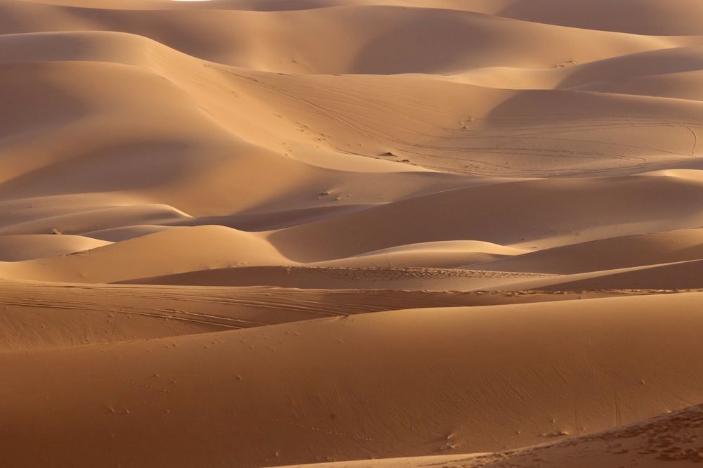 Photograph by Ольга Одаренко