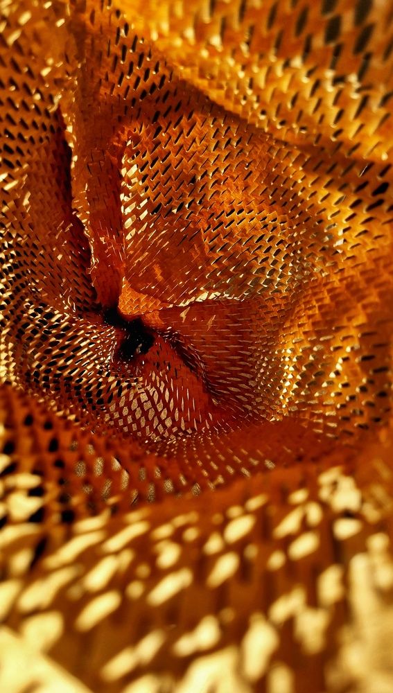 Photograph by Hanna Bourne