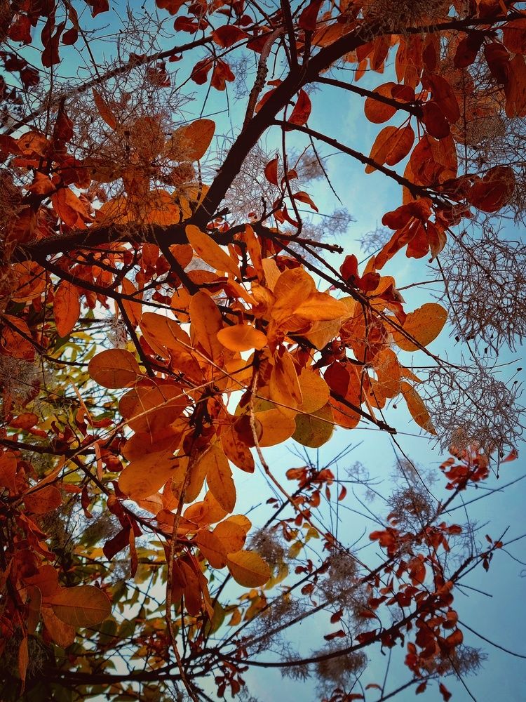 Photograph by Hanna Bourne